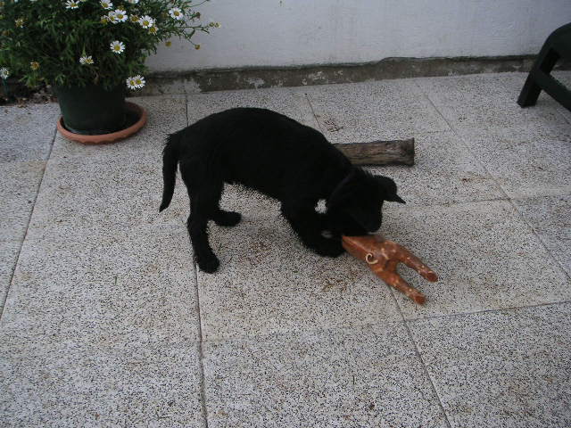 Bild 008.jpg
